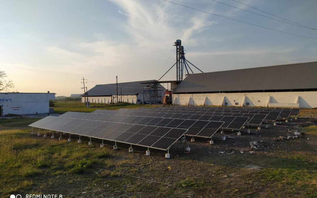 AGROINDUSTRIA ALGODONERA